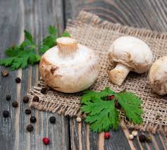 Pilze Roh Essen Tipps Und Ratgeber Roh Essen Pilze Rezepte Mit Pilzen