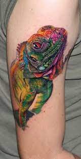 Fotos De Tatuagem De Lagarto Fotos De Tatuagens Tatuagem De Lagarto Tatuagem Camaleao Tatuagem