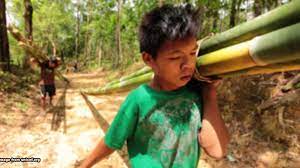 Children and young persons (employment) act 1966. Is Child Labour Illegal In Malaysia You Might Be Asklegal My