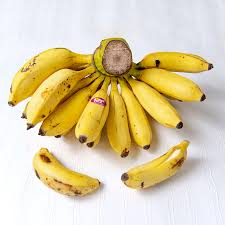 Sempat juga saya ambil gambar pokok pisang ini sekali bersama buahnya. Pisang Raja Sereh Sisir Majukan Perekonomian Lokal Tanihub