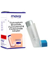 Image result for Inhaled Ciclesonide