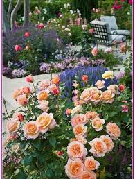28 Flowers Garden Ideas For Backyards That Make Your Home Fresh 00005 Rose Garden Design Beautiful Flowers Garden Rose Garden Landscape