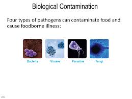 This review deals with pollution, contamination, types of pollution, causes of pollution, effect of pollution on health and environment. What Is Contamination In Biology