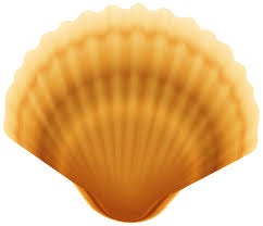 More images for clam shell clip art » Clam Shell Transparent Png Image Free Clip Art Clip Art Nautical Art