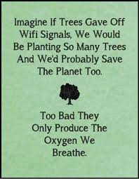 28 Pictures That Make You Think About Things Differently Funny Quotes Quotes Words