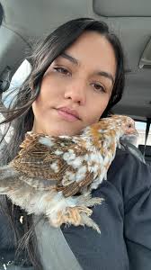 Poultry Palace: a source of joy and therapy