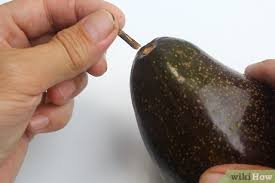Normalerweise packe ich die reste der avocado in einen beutel im kühlschrank und bewahre die grube auf. Herausfinden Ob Eine Avocado Verdorben Ist 9 Schritte Mit Bildern Wikihow