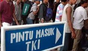 Pekerja asing hendaklah berada di luar negara sementara permohonan diproses. Operasi Besar Besaran Imigresen Malaysia Ratusan Tki Kerinci Tidur Di Hutan