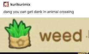 Dang You Can Get Dank In Animal Crossing Ifunny Animal Crossing Funny Animal Crossing 3ds Animal Crossing