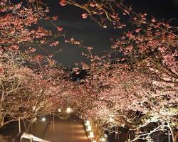 八重瀨公園的圖片