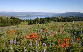 Image result for cascade