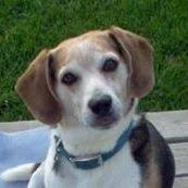 Ericka Meyers (xmfgirl)