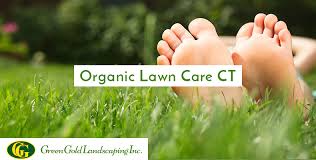Lawn care companies save you time and money by keeping the yard, plants, and landscaping healthy and creating a professional appearance. Organic Lawn Care Ct Natural Lawn Care Services Westchester Ny