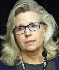 Liz cheney is a research & instruction librarian at california state university, northridge. Liz Cheney