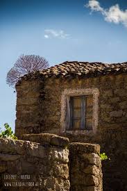 Lollove Il Borgo Sardo Addormentato Nel Bosco Claudia Zedda Nel 2020 Sardegna Sardegna Italia Paesaggi