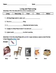 Pin On Kids