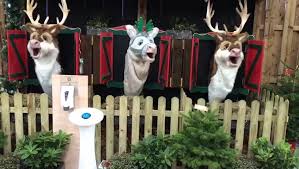 Lady Green Garden Centre Home Facebook