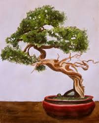 Natural bonsai oil on canvas 24 x 28in. Bonsai Tree Wetcanvas Online Living For Artists