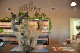 Family pet hospital, clarksville, montgomery county, tennessee, amerikas savienotās valstis — atrašanās vietu kartē, telefons, darba laiks, atsauksmes. Family Pet Hospital 530 New South Dr Clarksville Tn 37043 Yp Com