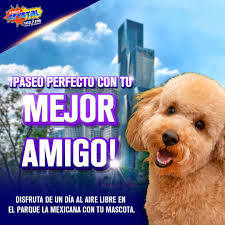🐾✨ ¡Disfruta un día al aire libre en el Parque La Mexicana con tu mascota!  🌳🐶 Momentos únicos en un lugar ideal para toda la familia. Av. Luis  Barragán 505, col. Santa