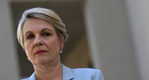 The costly disease in our backing orchestras