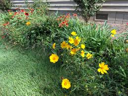 Time spent in the garden is mainly taken up with tidying up leaves from lawns and flower beds. October To Do In The Garden Extension Master Gardener Volunteers Of Durham County