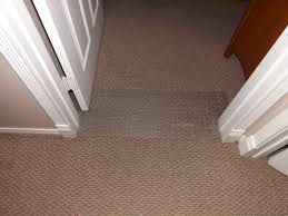 Cats aren't picky when it comes to something to sharpen their claws on, and your carpet is no exception. Pin On Stuff For The House