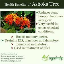 Pin On Ayurveda For Pcod Or Pcos
