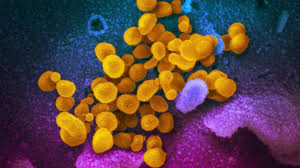 2019 novel coronavirus, wuhan seafood market pneumonia virus) — оболочечный одноцепочный. Coronavirus China Virologist Says Covid 19 Man Made Market Claims False Al Arabiya English