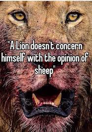 A Lion Doesn T Concern Himself With The Opinion Of Sheep