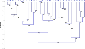 Image result for Crotalaria onobrychis