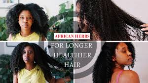 Two of the best minerals for healthy hair growth are iron and zinc. 5 African Herbs For Hair Growth Remedies That Really Work