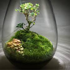 40 Stunning Diy Terrariums Design Ideas Http Calviendecor Info 40 Stunning Diy Terrariums Design Ideas Terrarium Jar Terrarium Terrarium Diy