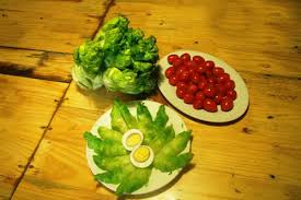 Image result for RAU MẦM CẢI XANH