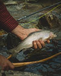 Maybe you would like to learn more about one of these? Cast Iron Recipe Salmon Tacos