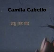 Dibulan desember i diujung ni taon i ro do au mandapothon ho tu pekanbaru nauli. Terjemahan Lirik Lagu Cry For Me Camila Cabello Lirik Lagu Mp3 Terjemahan Indonesia