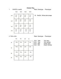Tutorial to help answer the question. 35 Dihybrid Cross Worksheet Answers Free Worksheet Spreadsheet