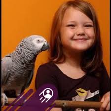 I have some old (clean) towels and tea towels. Would they be of use to  anyone?