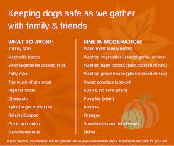 Peninsula Pet Hospital - Home Facebook