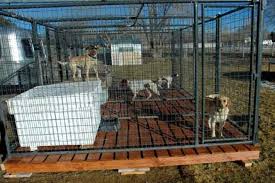 Outdoor Dog Run Flooring Eflooring In Tasty Outdoor Dog Kennel Flooring Ideas Cheap Dog Kennels Building A Dog Kennel Dog Kennel Cover