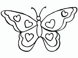 Pin On Butterflies