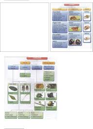 Check spelling or type a new query. Nota Tahun 3 Sains Kssr Pdf Txt