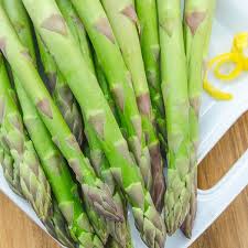 Image result for Asparagus exuvialis