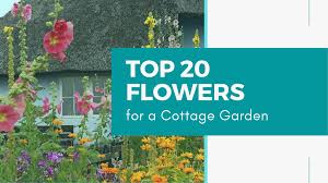 See more ideas about plants, cottage garden plants, garden plants. Top 20 Flowers For A Cottage Garden Modern Frontierswoman