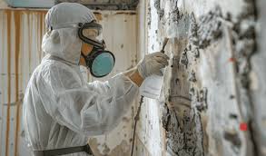 The Asbestos Testing Process: A Guide for Homeowners