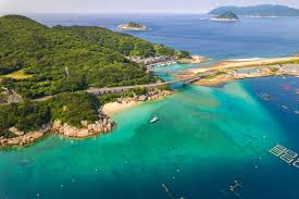 高知の魅力が詰まった楽園！柏島ビーチで特別な一日を | EIMONS®︎［エイモンズ］ 高知メディア