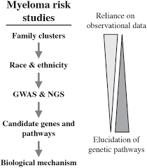 frontiers germline risk contribution to genomic