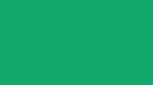 Find the perfect watercolor light green stock photos and editorial news pictures from getty images. Islamic Green Solid Color Background 1000 Free Download Vector Image Png Psd Files