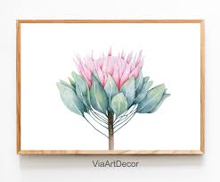 King Protea Print Watercolor Wall Art Pink Flower Modern Etsy Flower Prints Art Watercolor Wall Art Australian Painting