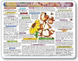 Homeopathy Guide For Dogs Laminated Chart Homeopathic